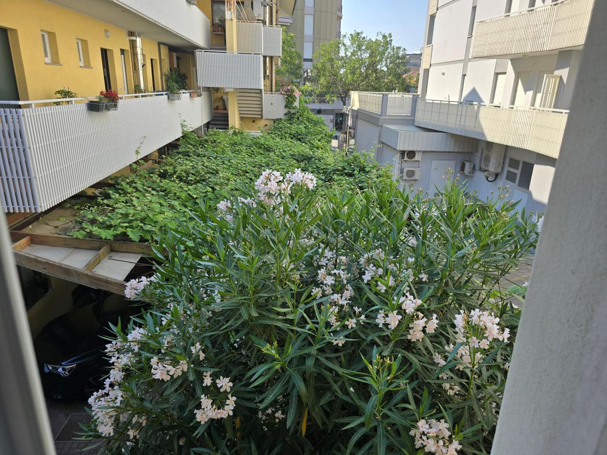 Villa Nerina Apartment Lignano Sabbiadoro Exterior photo